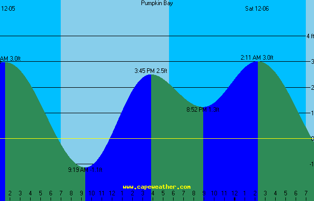 pumpkin tide table