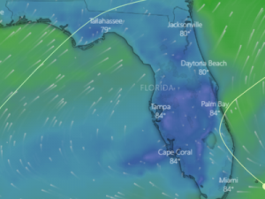 Florida Wind Forecast