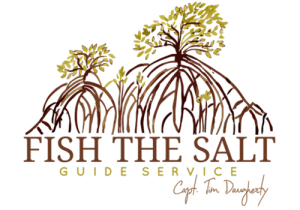 Fish the Salt Guide Service