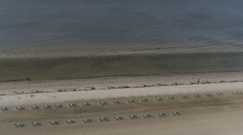 Pink Shell Resort