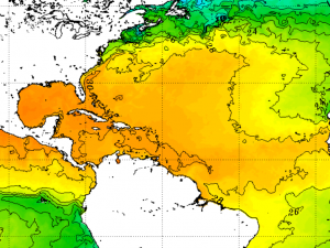 Sea Surface Temperature SST